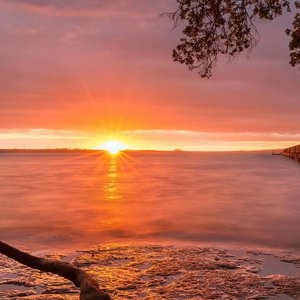 干柴烈火46集免费观看
