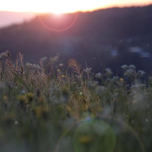 干柴烈火46集免费观看
