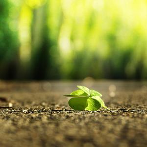 干柴烈火46集免费观看
